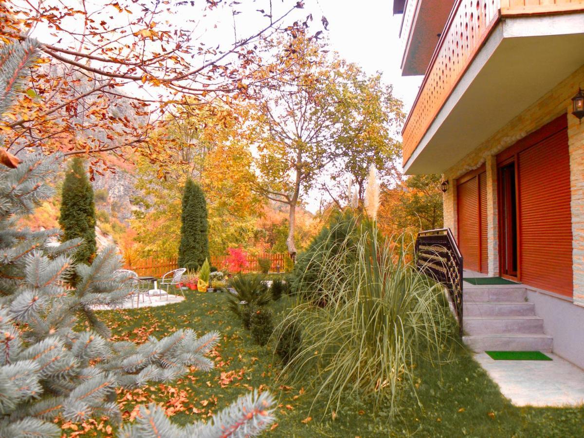 Vila Alexander B&B 瓦勒博内 外观 照片