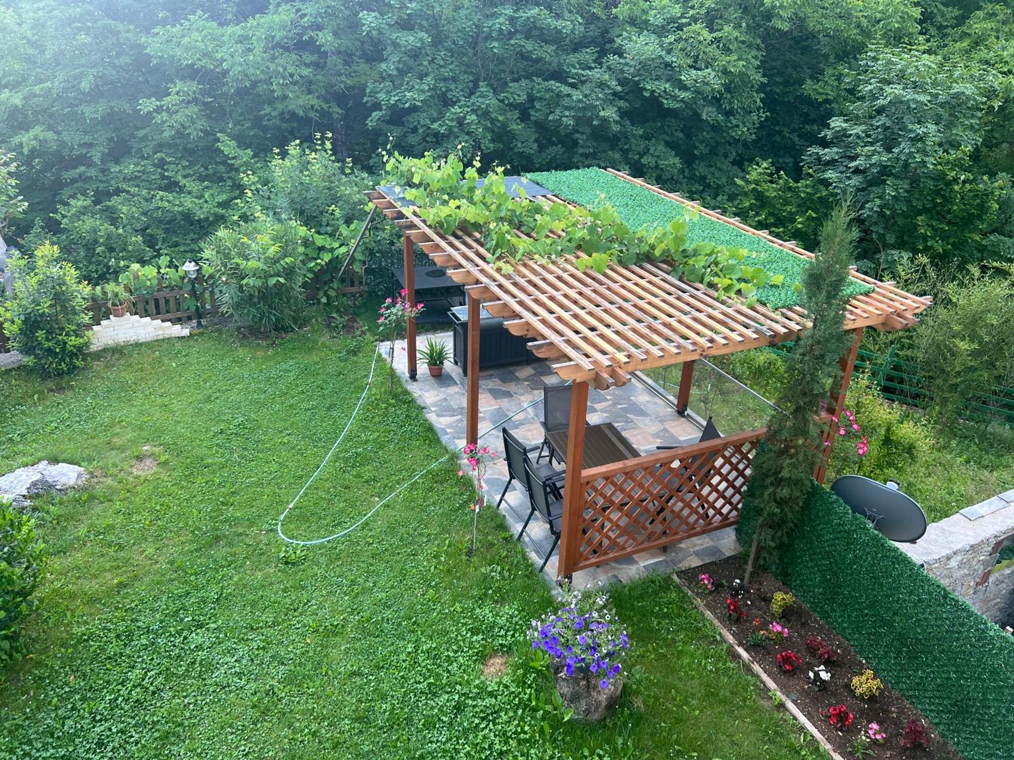 Vila Alexander B&B 瓦勒博内 外观 照片