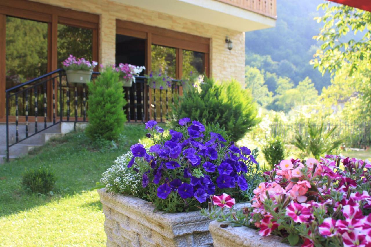 Vila Alexander B&B 瓦勒博内 外观 照片